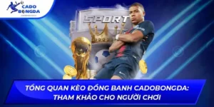 kèo đồng banh